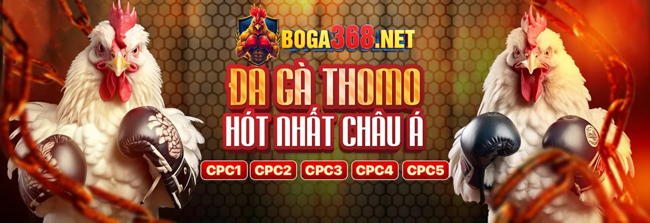Quy tắc trò chơi và cá cược tại rikbet đăng nhập